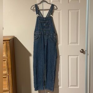 Free people ziggy overalls